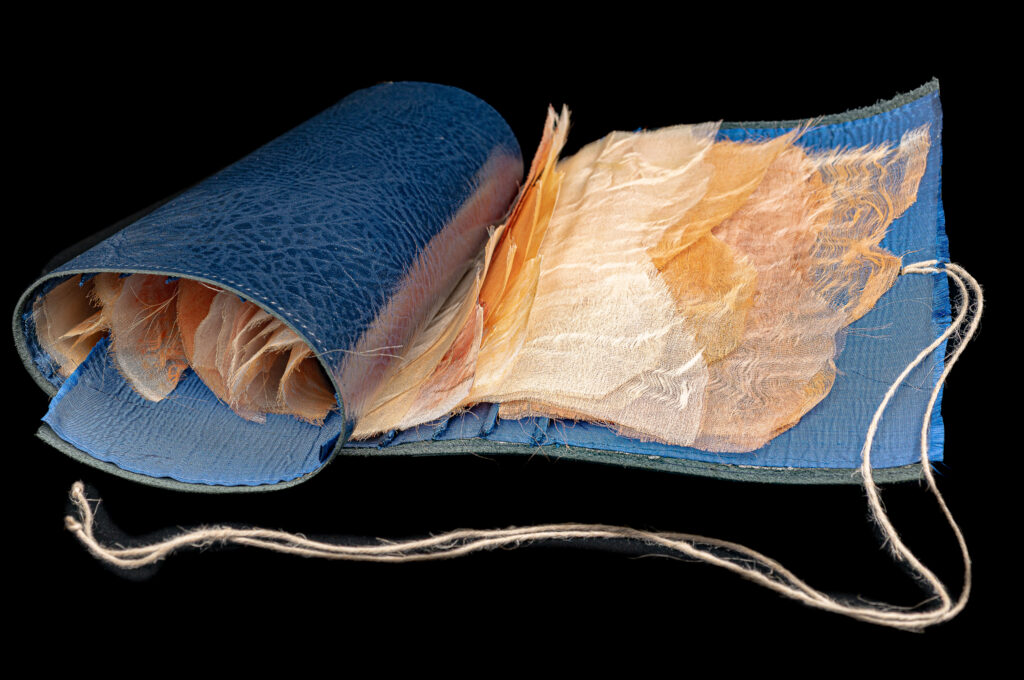 Maria Margarida Blumenscheen Cruz